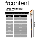 Like it Mix Paint Brush Set of 15 Mix Media for Acrylic, Oil, Watercolour & Painting Brush Set