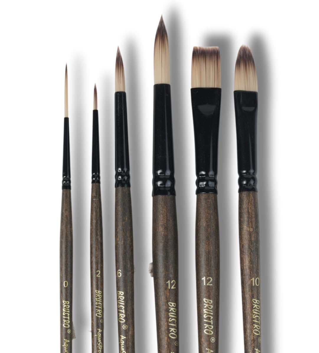 Brustro Artist AquaStrokes Brush Set Of 6