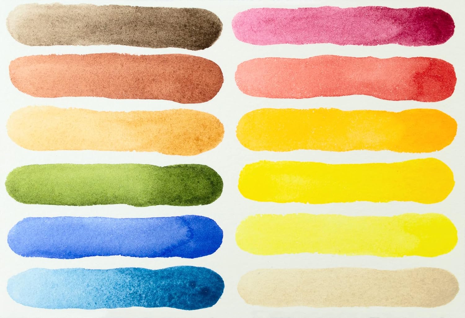 Daniel Smith 12 Color Half Pan Watercolor Set with Bonus Empty Pans
