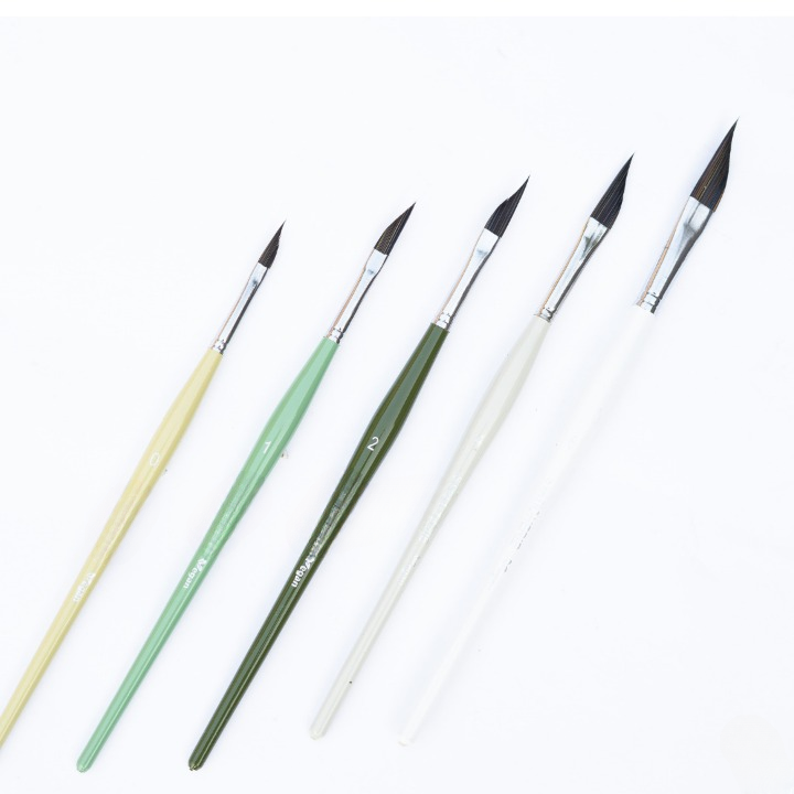 Like it Petal Pyramid Set Of 5 Forest Patel Edition for Acrylic, Oil, Watercolour & Painting Brush Set